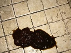 -艾贝尔宠物诊疗