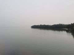 -深圳湾公园(南山区)