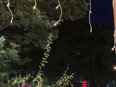 -木屋烧烤(龙岗龙城万科里店)