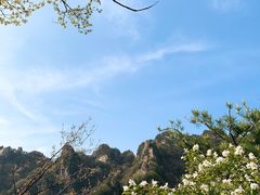 -王顺山国家森林公园