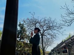 -护国法轮寺
