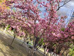 -碑林公园