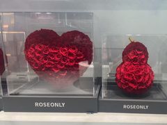 -ROSEONLY诺誓(国际广场购物中心店)