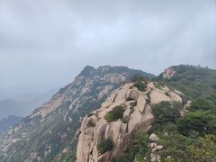 -鲁山国家森林公园