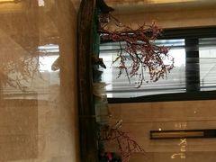 -常州新城希尔顿酒店-御玺中餐厅