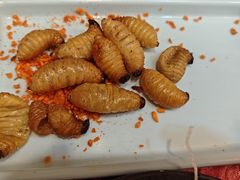 -了能菜·传统特色粤菜·虫宴