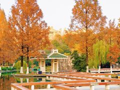 -环城公园-琥珀潭