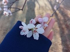 -长春公园(普阳街道)