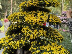 -杭州植物园
