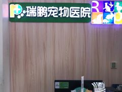 -瑞鹏宠物医院·微创内窥镜·骨外科·牙科(翠竹分院)