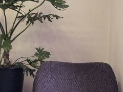 -研途咖啡馆(健康路店)