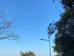 -黄埔油麻山森林公园