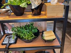 -东椰·海南椰子鸡火锅(朝阳门店)