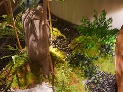 -绿茶餐厅(淮安吾悦广场店)