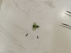 -宝岛眼镜(嘉兴桐乡时代广场店)