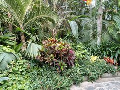 -郑州植物园