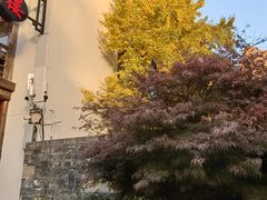 -鲤院·新中式美学·庭院餐厅(夫子庙店)