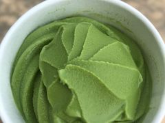 -雪绿茶博物馆
