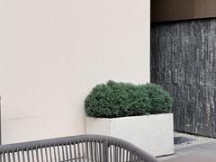 -LAN一见岚·精品蛋糕(琶洲保利店)