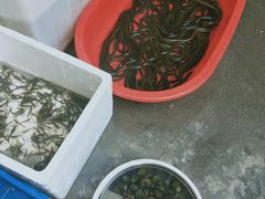 -李东农庄(中南百草园地标店)