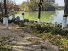 -大兴滨河森林公园