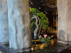 -御养源·影院式足道·按摩SPA·星级自助餐(青秀店)