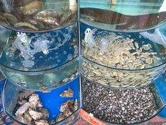 -东来菜馆•手抓海鲜家常菜•海鲜锅贴(鸽子窝店)