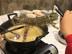 -鲜入围煮花胶鸡海鲜火锅