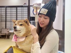 -逗柴咖啡屋·狗咖猫咖宠物桌游