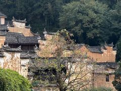 -杨家堂村