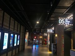 -CGV影城(壹方城IMAX店)