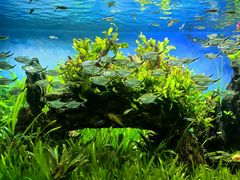 -太平洋海底世界