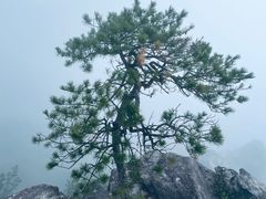 -萍乡武功山风景名胜区