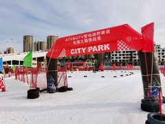 -丁香湖丁香小镇Citypark滑雪公园戏雪嘉年华