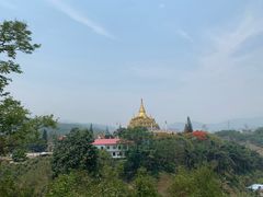 -瑞丽独树成林风景区