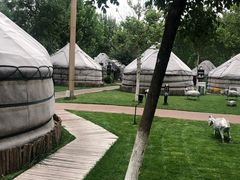 -九十九顶毡房(阜石路店)