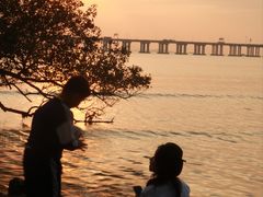 -宝安西湾红树林湿地公园