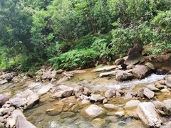 -广州白江湖森林公园