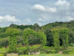 -东莞植物园