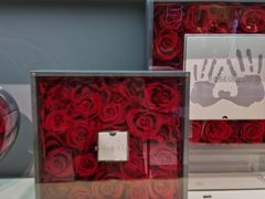 -ROSEONLY诺誓(广州K11店)