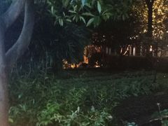 -故乡缘·香格里拉山庄(冷竹路店)