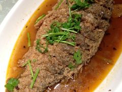 黄河口大鲤鱼-鲁城往事(游客中心店)