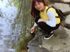 -大屏嶂森林公园
