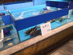 水产区-吕宋海鲜楼