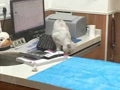 -宠福鑫动物医院·动物疾病诊疗中心(天通苑店)