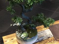 -呷哺呷哺(丹尼斯店)