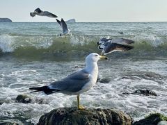 -银沙滩浴场