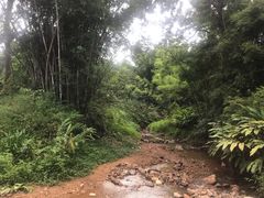 -田心森林公园