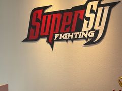 -Super Sy泰拳格斗