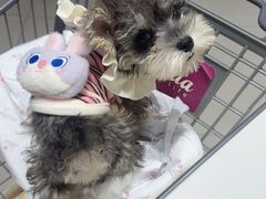 -微缤礼物(青岛海信广场店)